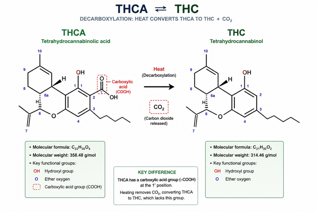 Thca