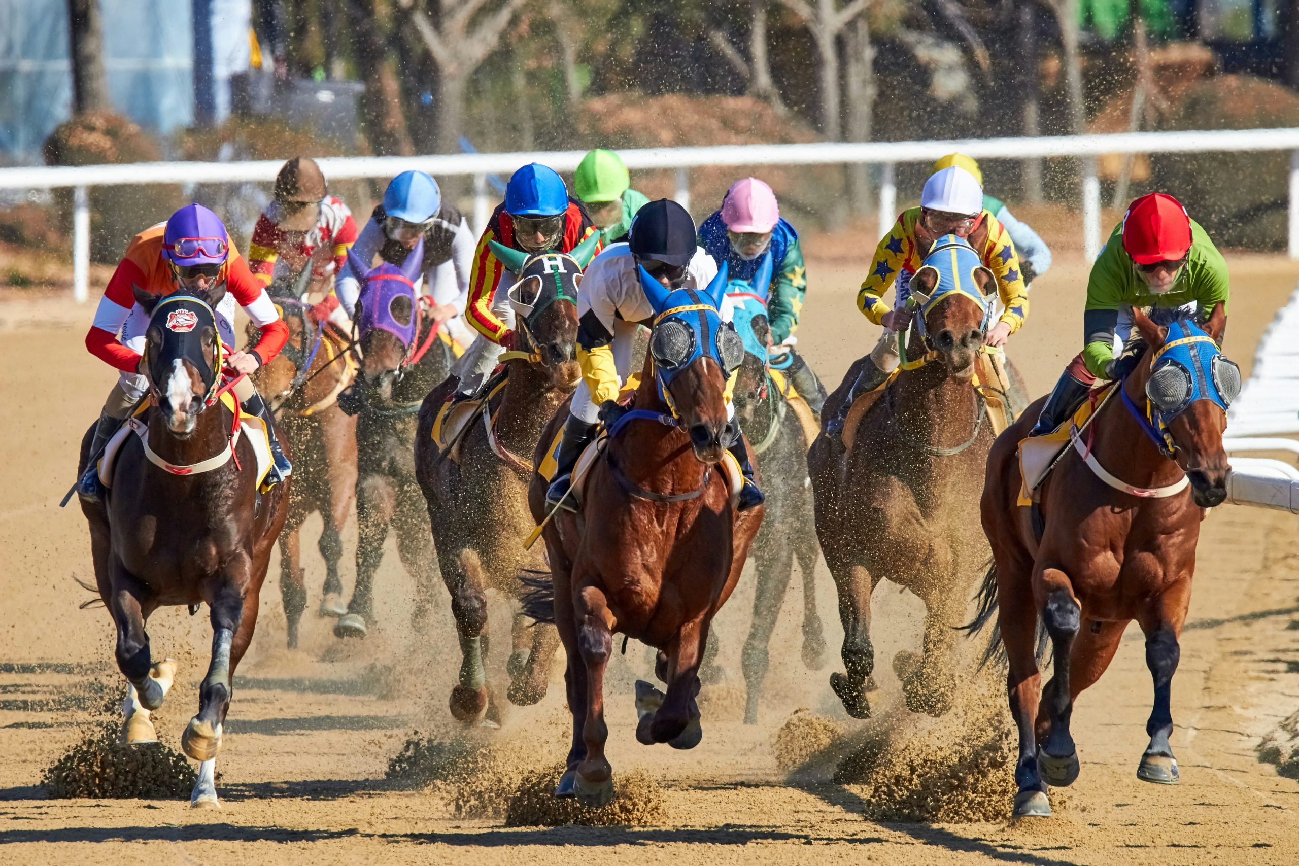 Jockey riding a racehorse during horse racing action
