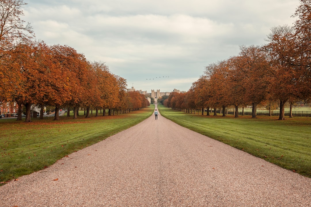 The Long Walk in Windsor Great Park
