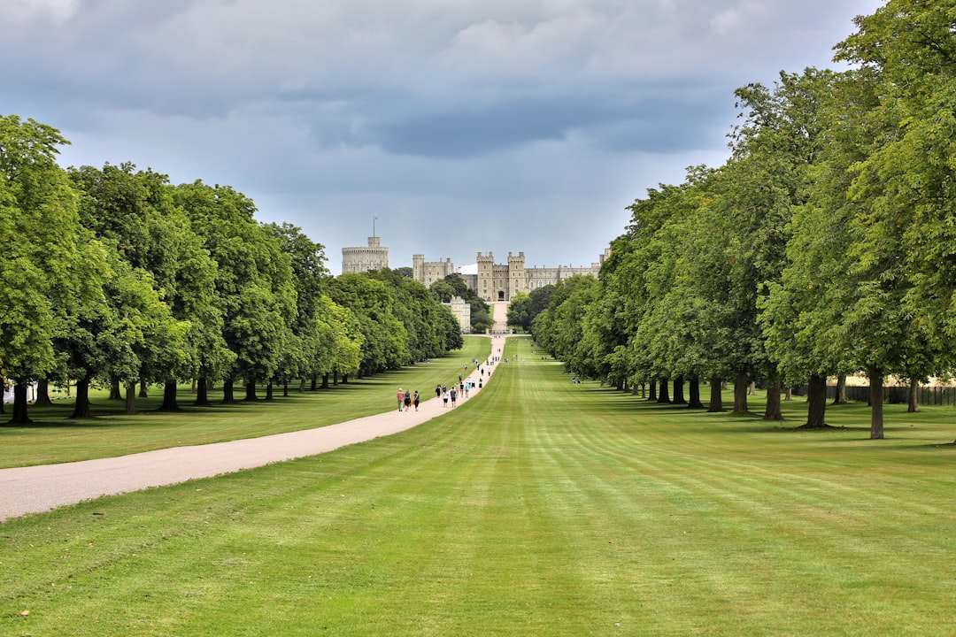 The Long Walk towards Windsor Castle